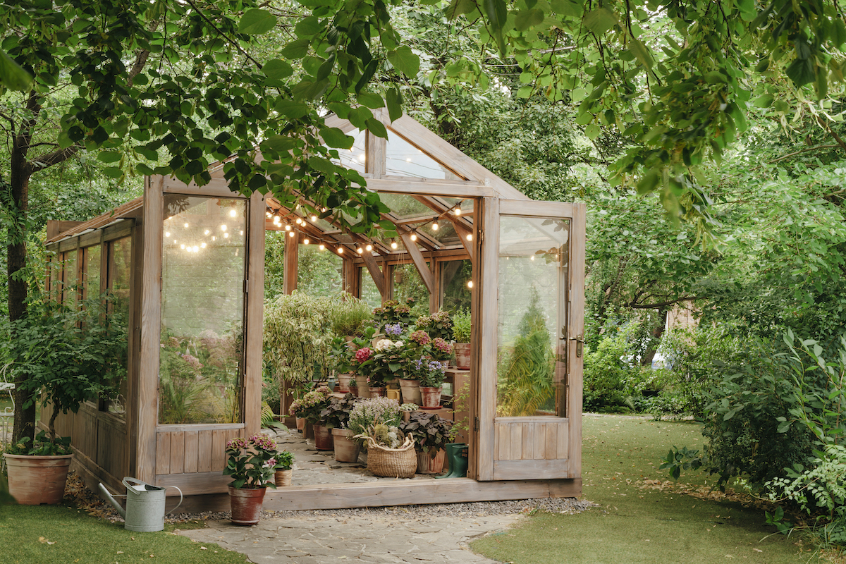 Wooden illuminated greenhouse in backyard