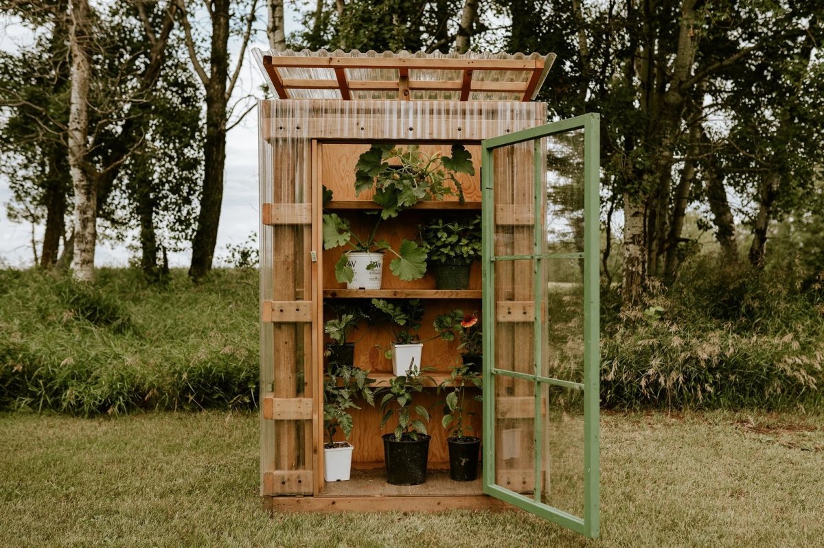 Compact, wooden shelf-style greenhouse with glass door in a field of grass.