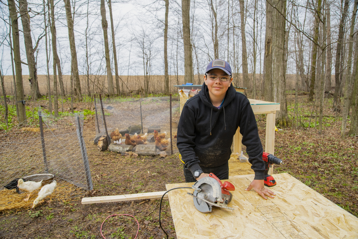 chicken coop plans