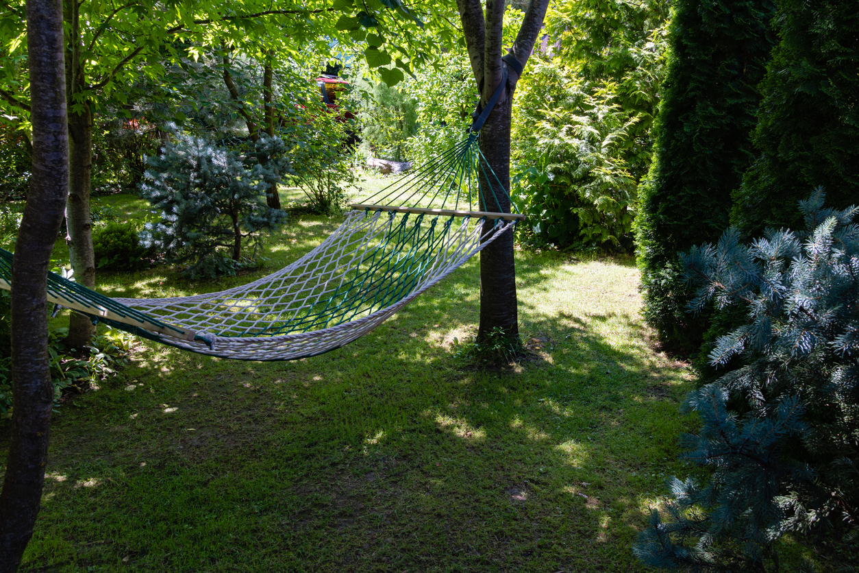 A hammock hanging between shady trees.