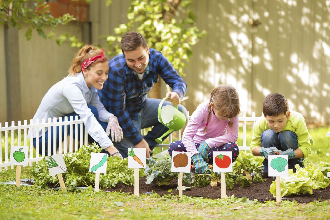 A family enjoying gardening together.