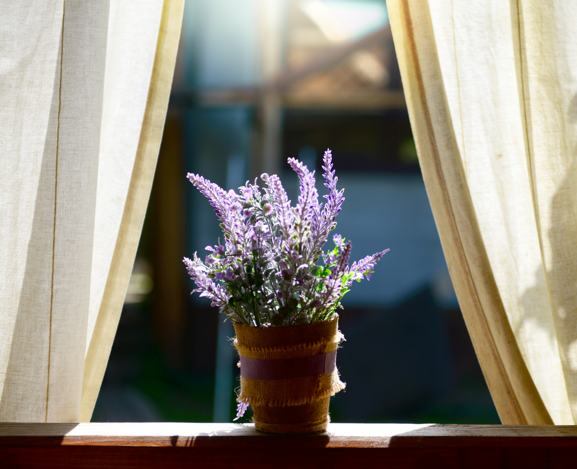 Best-Smelling Houseplants