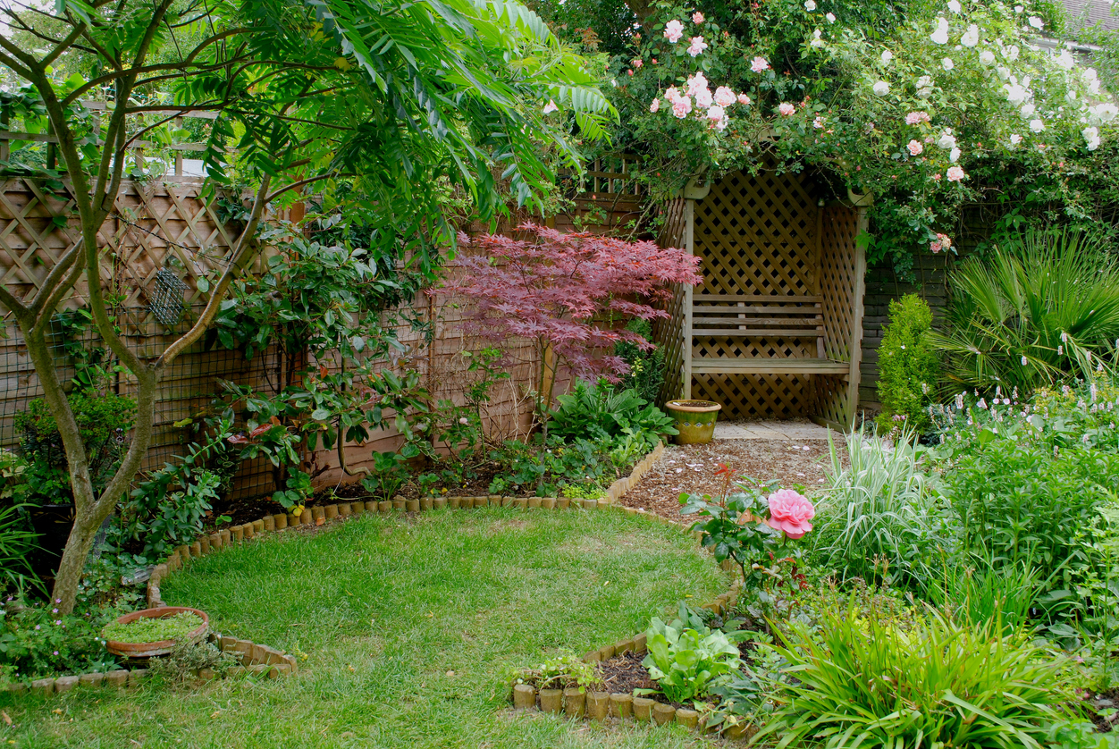 A backyard with wooden bench surrounded by plants and trees.