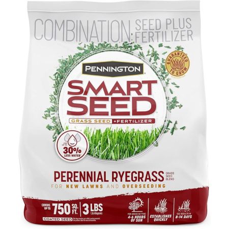  Pennington Smart Seed Perennial Ryegrass on a white background