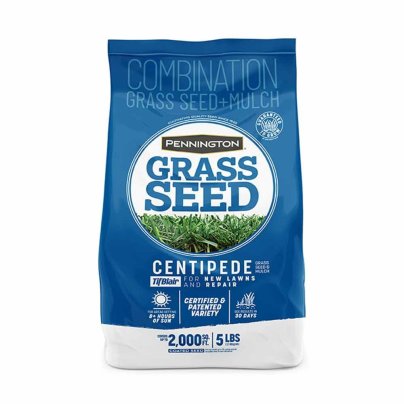 Pennington Tifblair Centipede Grass Seed on a white background