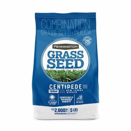  Pennington Tifblair Centipede Grass Seed on a white background
