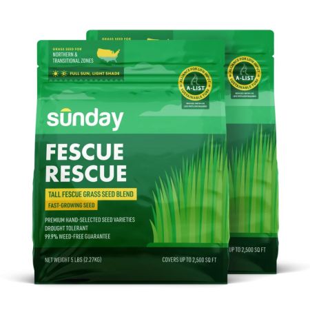  Sunday Fescue Rescue Grass Seed on a white background