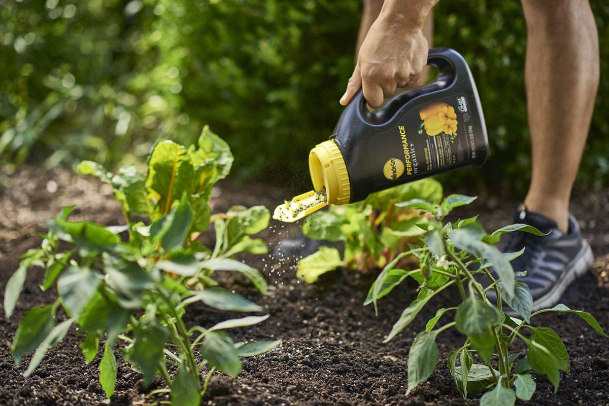 The Best Fertilizer for Potatoes Options