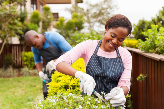 The Best Gardening Subscription Boxes Options