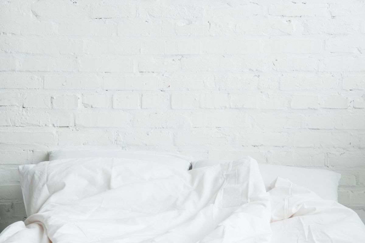 What Attracts Bed Bugs?