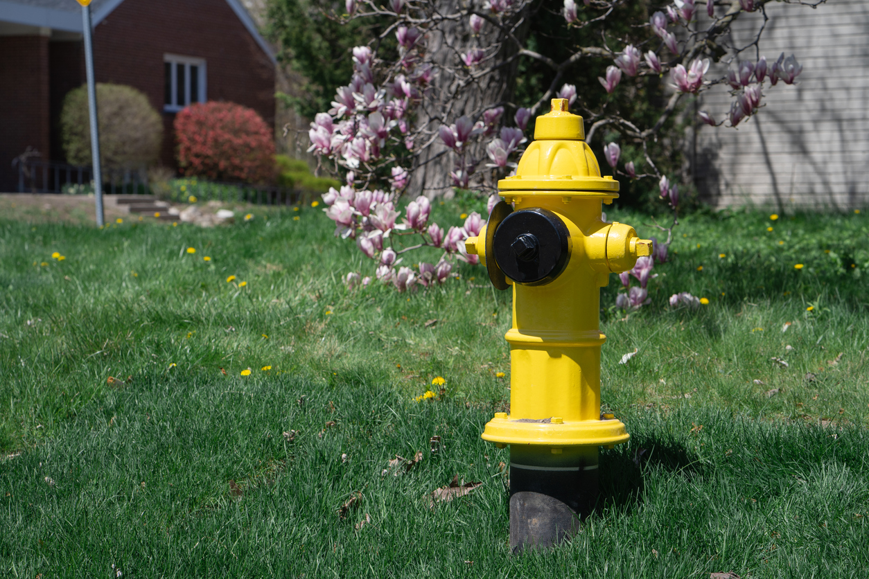 fire hydrant