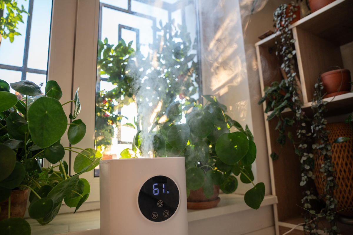 Closeup of ultrasonic air humidifier with digital touch display stand on the floor near window and potted houseplants and flowers spraying water vapour steam.