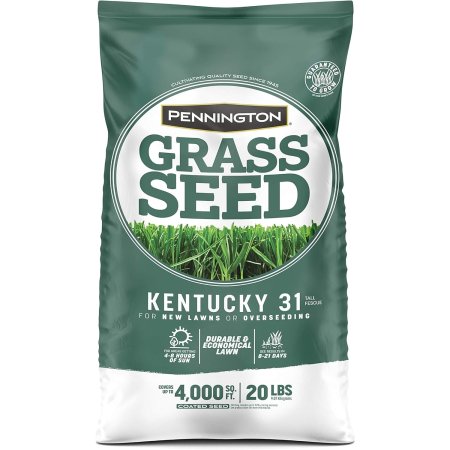  Bag of Pennington Kentucky 31 Tall Fescue Grass Seed on a white background