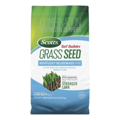 Bag of Scotts Turf Builder Kentucky Bluegrass Mix on a white background