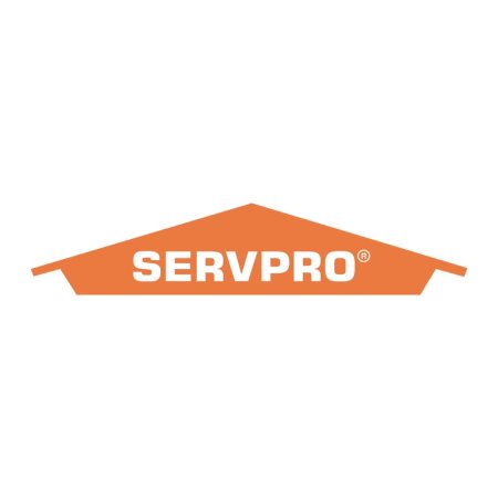  The Best Carpet Cleaning Companies Option: SERVPRO