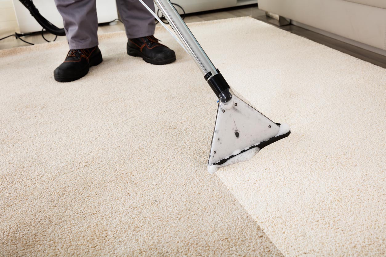 The Best Carpet Cleaning Companies Options