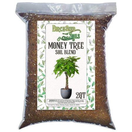  Best Soil for Money Tree Option: Money Tree Soil Blend All Natural Soil Mixture