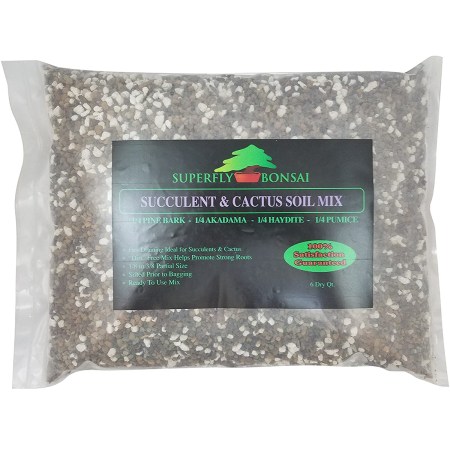  Best Soil For Aloe Vera Options: Superfly Bonsai Succulent & Cactus Soil Mix