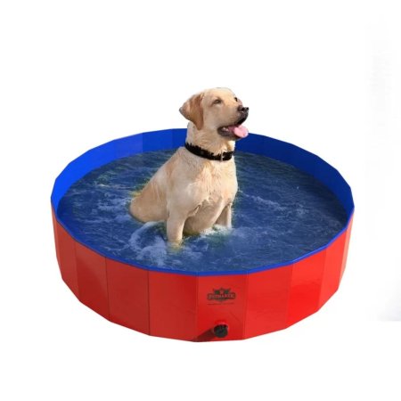  La meilleure option de piscine pour chiens : piscine et baignoire pour animaux Petmaker