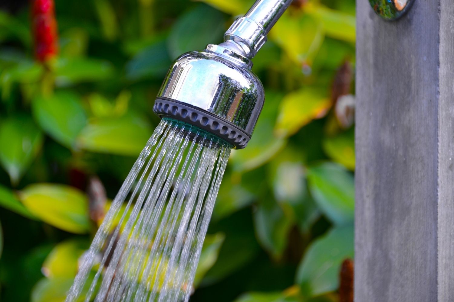 A close-up of the best outdoor shower option spraying water with a large plant in the background