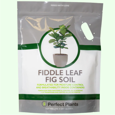  Best Soil For Fiddle Leaf Figs Option: Perfect Plants Fiddle Leaf Fig Soil