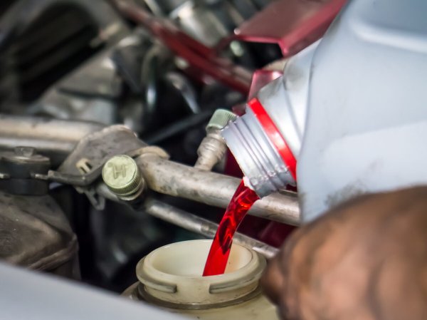 how to change transmission fluid