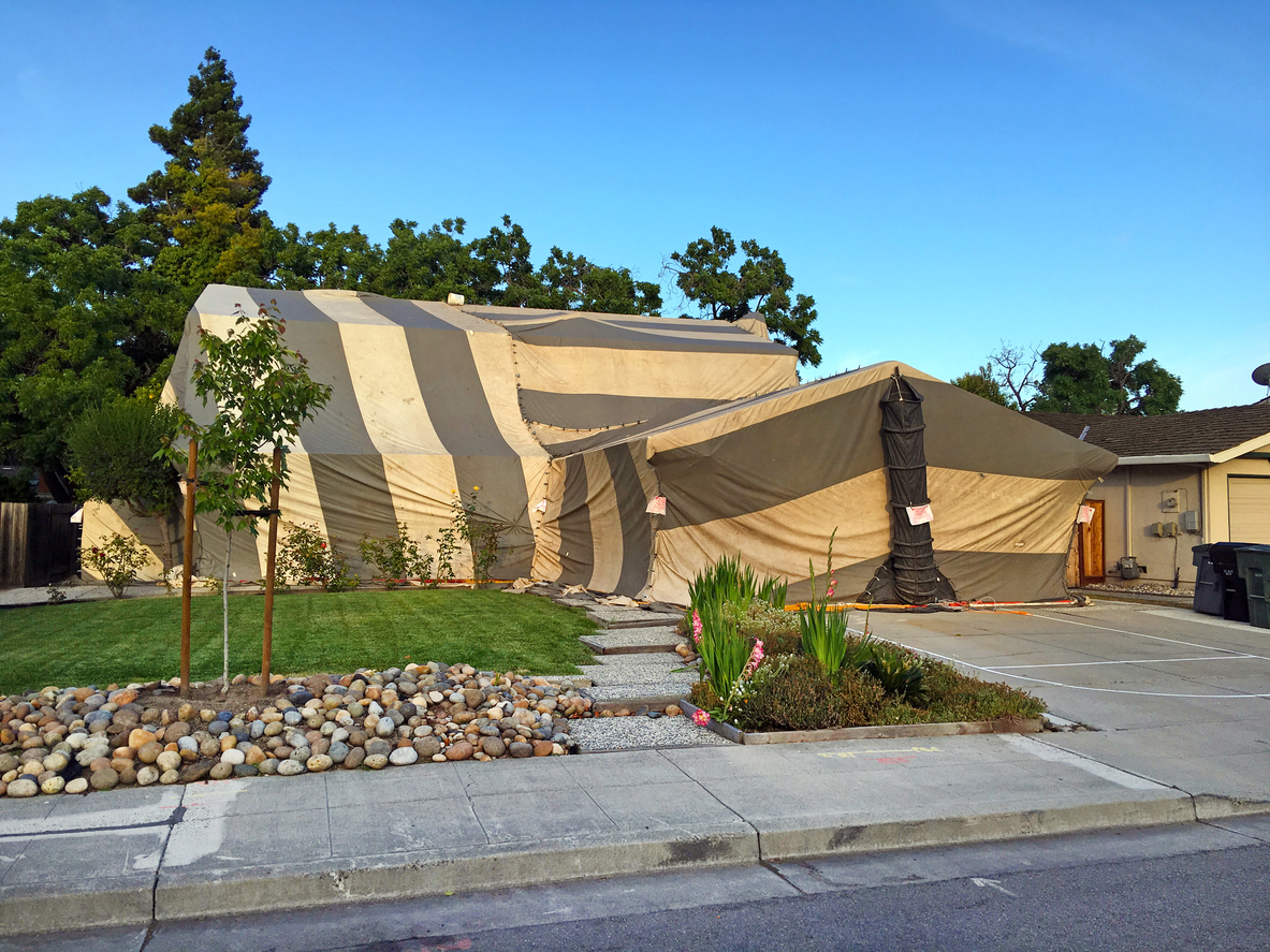 tented house