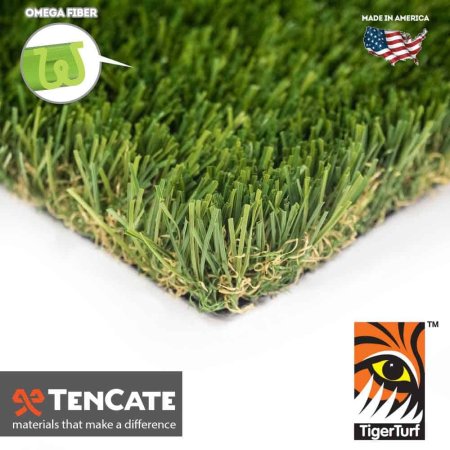  Best Artificial Grass For Dogs Option Tiger Turf Everglade Fescue