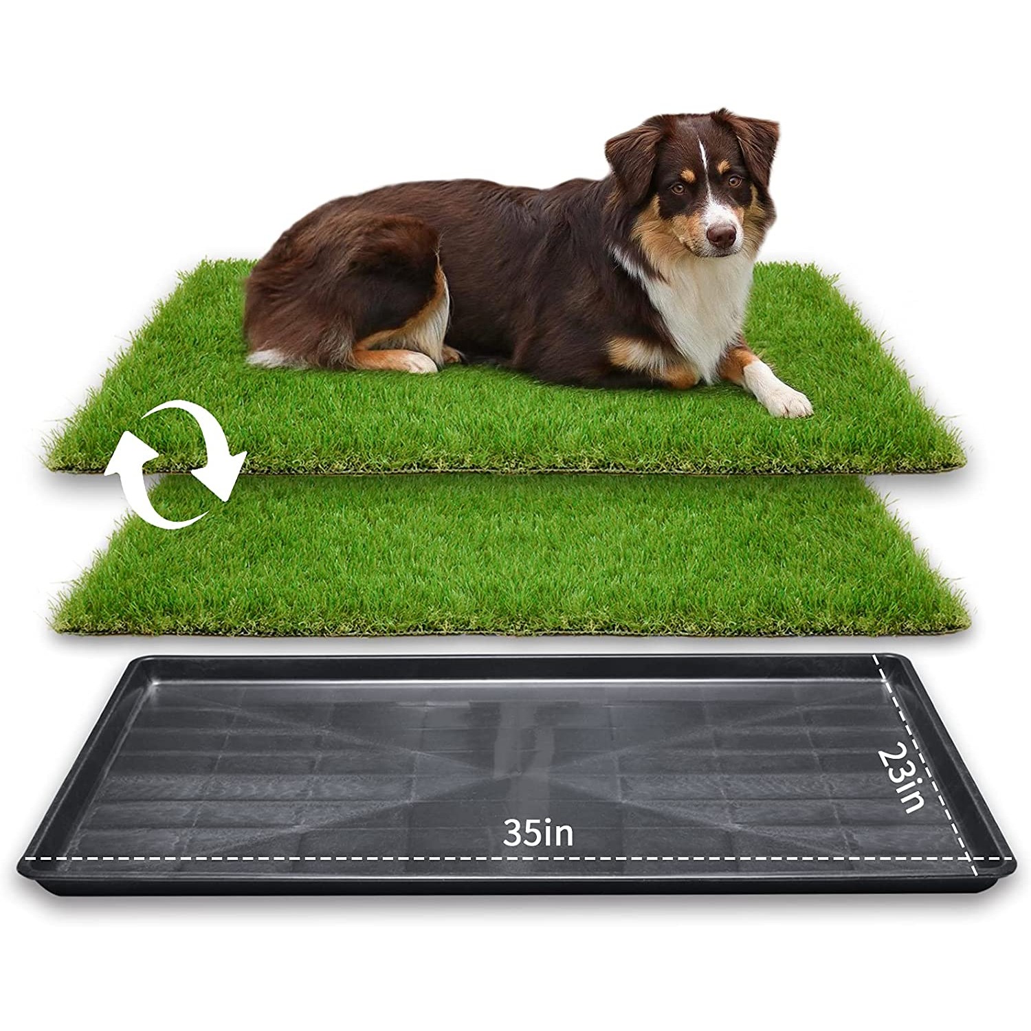 The Best Artificial Grass for Dogs - Picks from Bob Vila