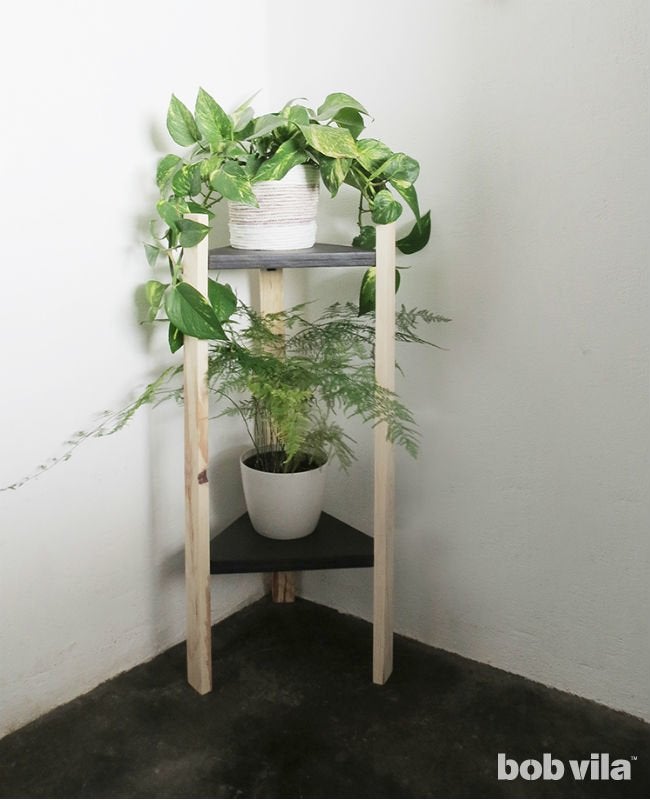 plant shelf ideas