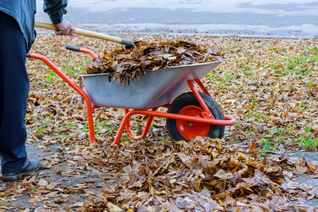 What is Leaf Mold and How to Use It in Your Home Landscape - Bob Vila