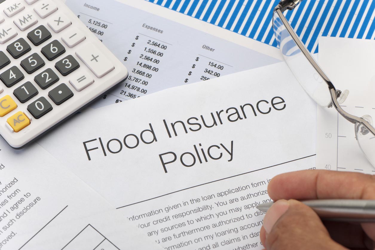 The Best Flood Insurance Companies Options