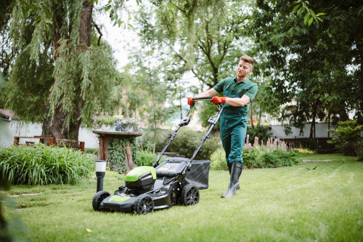 The 6 Best Lawn Care Services of 2024
