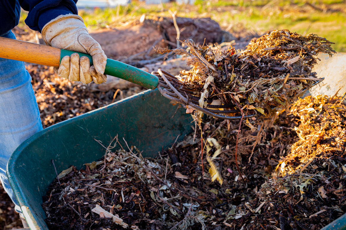 how to grow your own food adding soil amendments