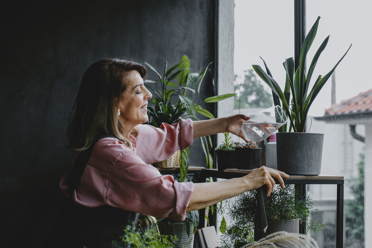 plant shelf ideas