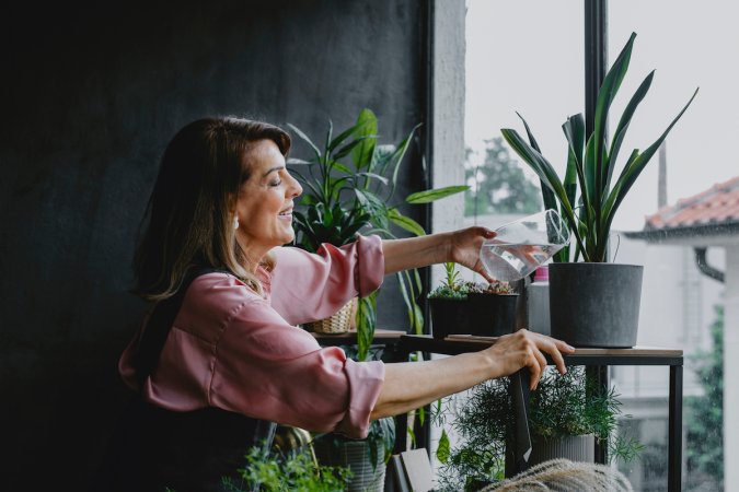 plant shelf ideas