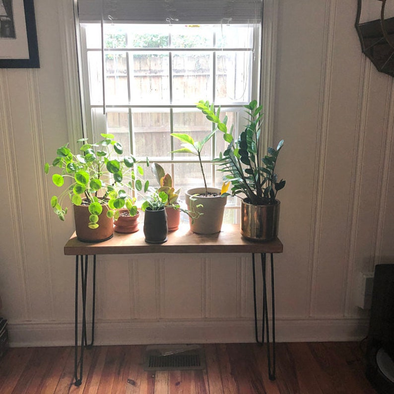 plant shelf ideas