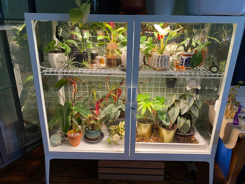 plant shelf ideas