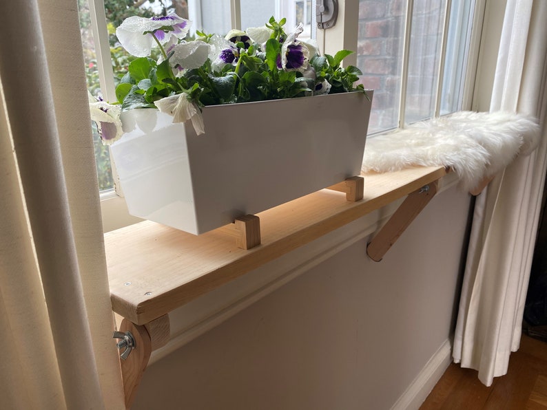 plant shelf ideas