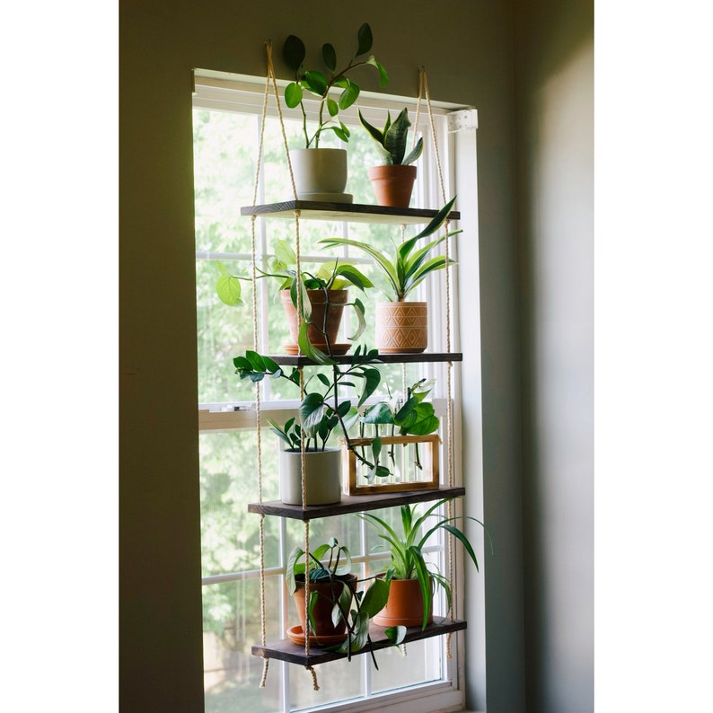 plant shelf ideas