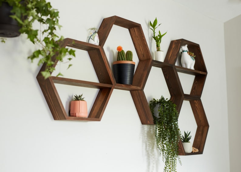 plant shelf ideas