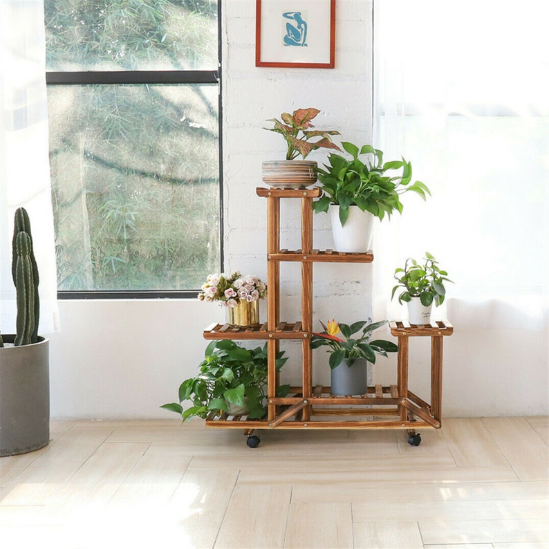 plant shelf ideas