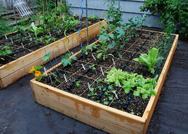 12 Raised Garden Bed Plans for Building Your Ideal Plot