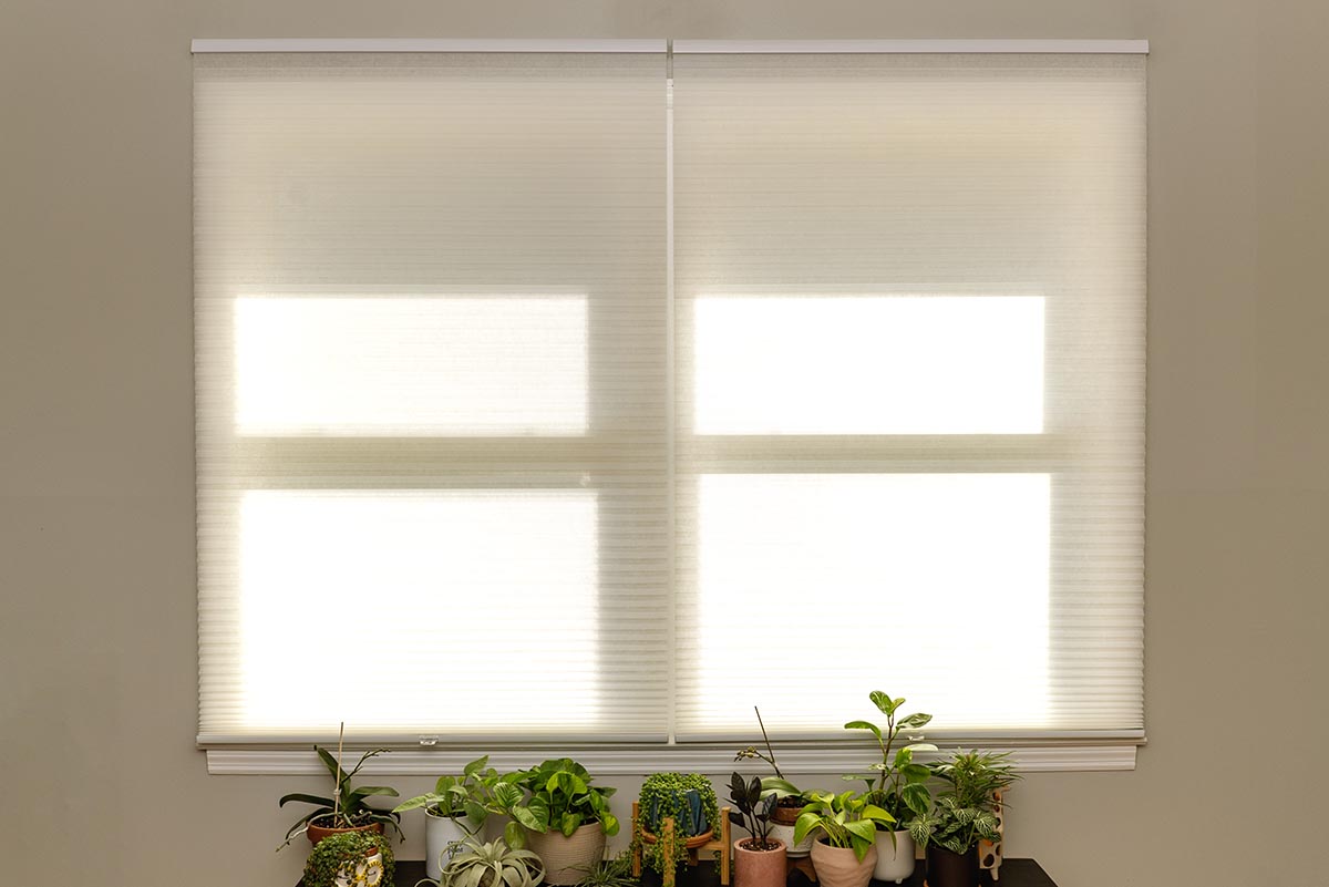 Blinds com Shades Review