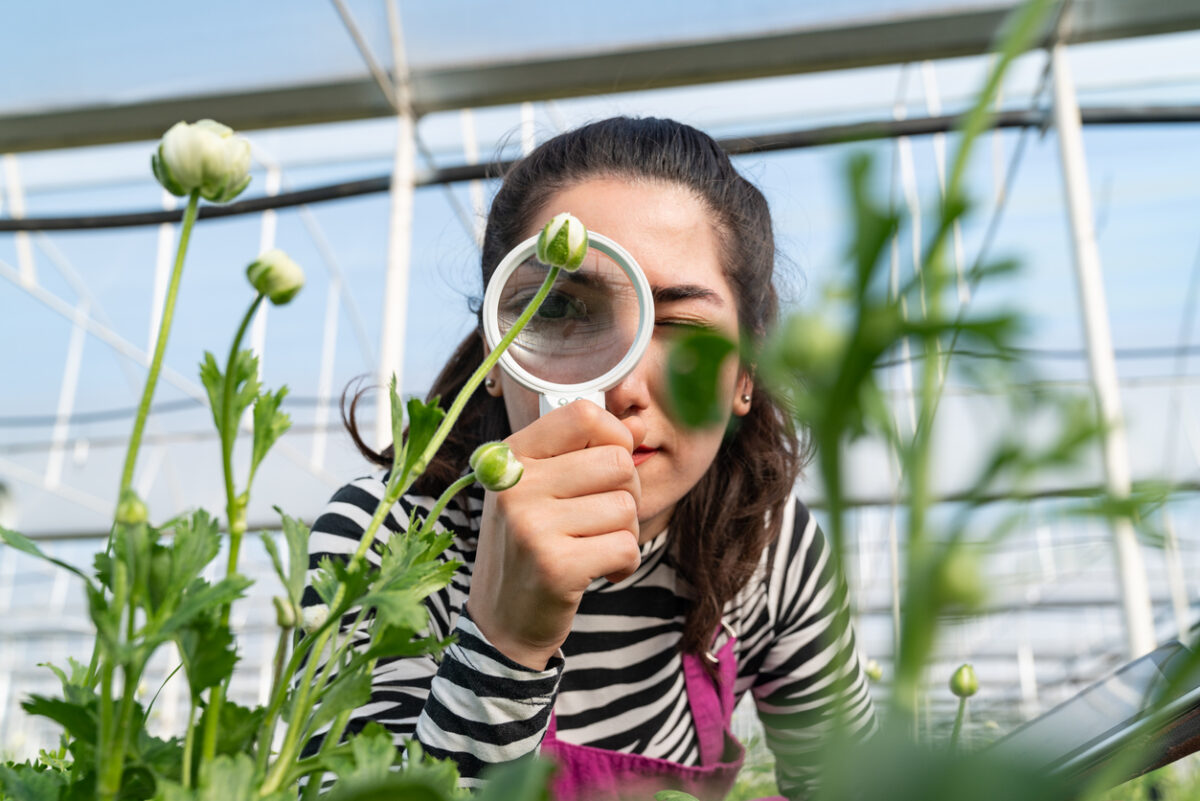 What Kind of Gardener Are You?