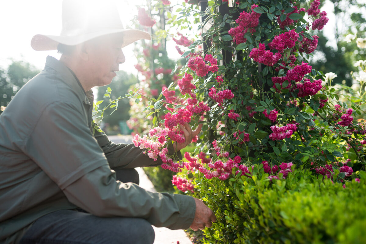 What Kind of Gardener Are You?