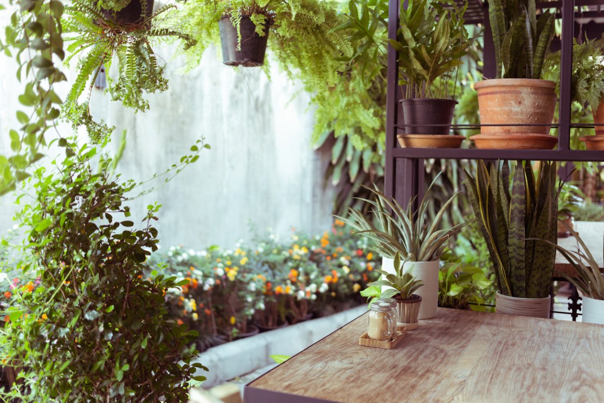 The 8 Worst Houseplants for People with Allergies