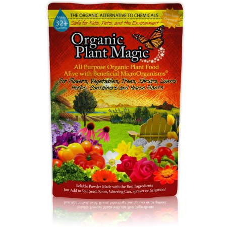  Best Fertilizer For Watermelon Options: Organic Plant Magic