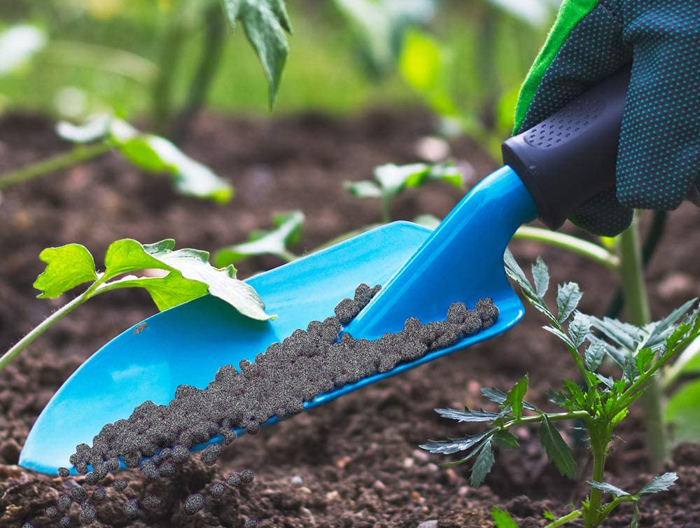 Best Fertilizer For Watermelon Options