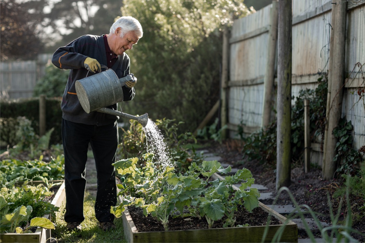 gardening in place